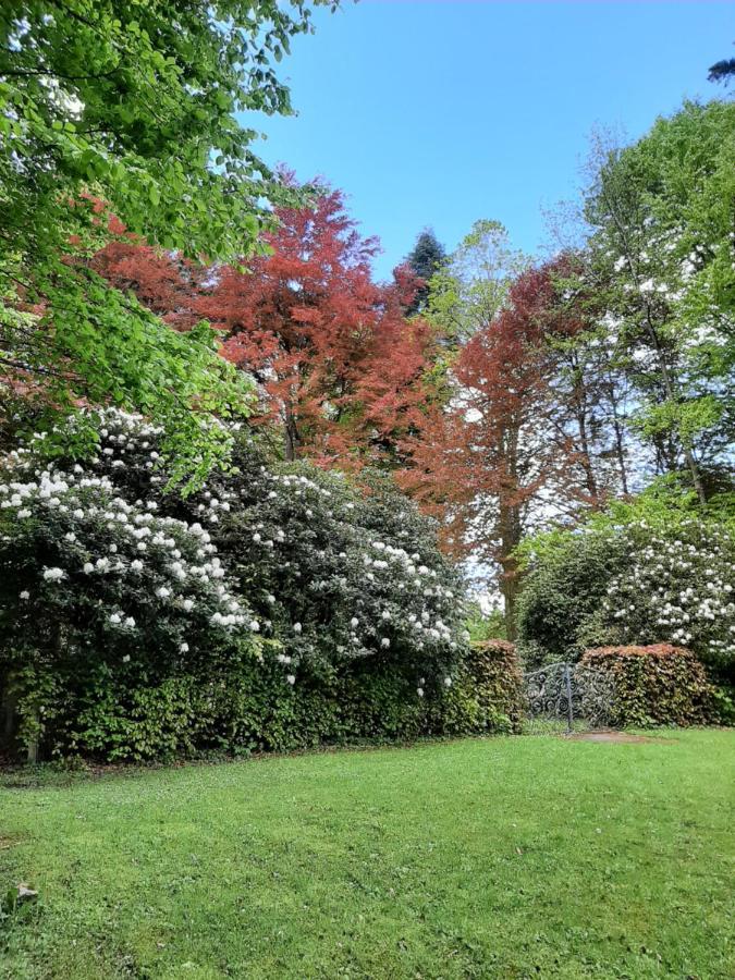Ferienwohnung Beate 2 Ziemetshausen Exteriör bild
